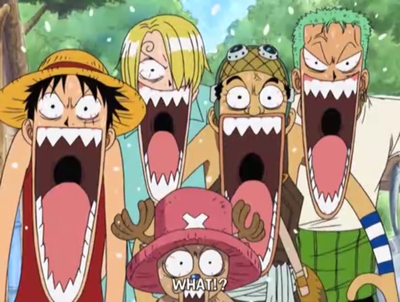 Whaaaaaaat-one-piece-31440536-793-599